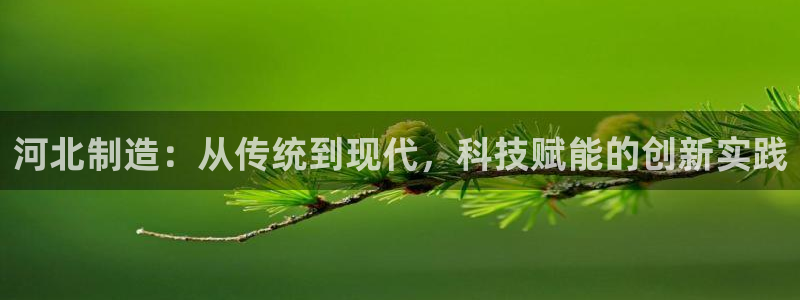 雅博电子CQ9