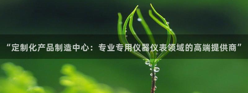 cq9电子bug：“定制化产品制造中心：专业专用仪器仪表领域