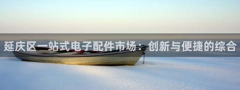 cq9电子打水软件：延庆区一站式电子配件市场：创新与便捷的综