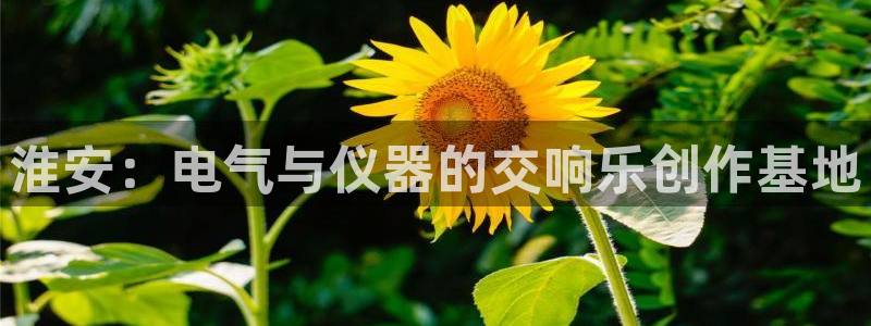 cq9电子宙斯视频