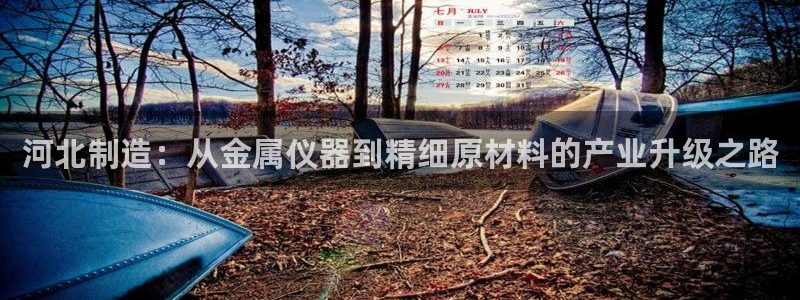 cq9电子疯狂软糖：河北制造：从金属仪器到精细原材料的产业升