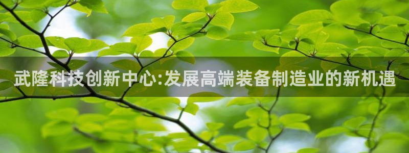 cq9电子服务器：武隆科技创新中心:发展高端装备制造业的新机