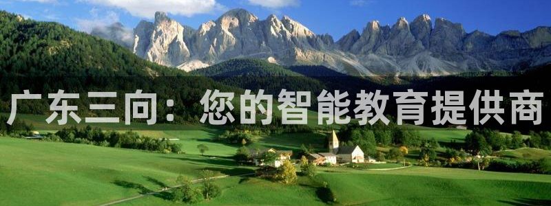 cq9电子试玩2000：广东三向：您的智能教育提供商