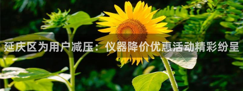 cq9电子武圣图片：延庆区为用户减压：仪器降价优惠活动精彩纷
