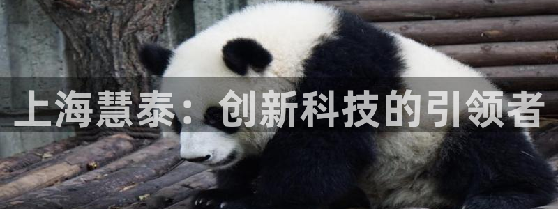 电子游戏cq9规则：上海慧泰：创新科技的引领者