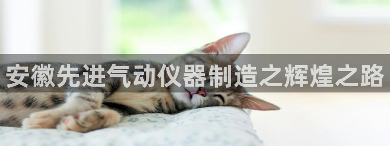 cq9电子官方平台