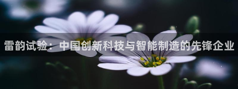 传奇cq9电子刀