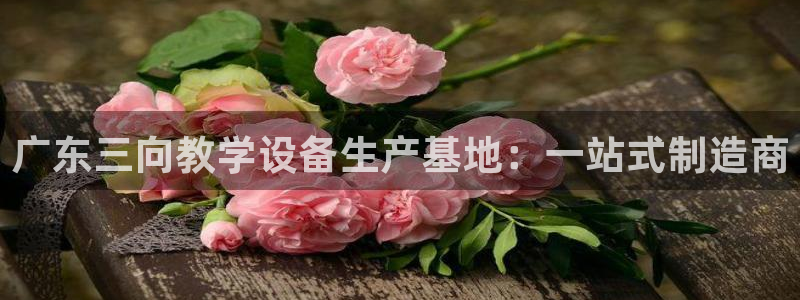 传奇cq9电子冠军