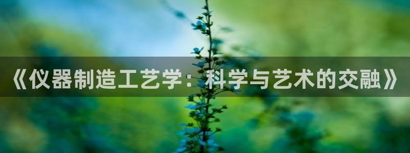 cq9电子登录注册：《仪器制造工艺学：科学与艺术的交融》