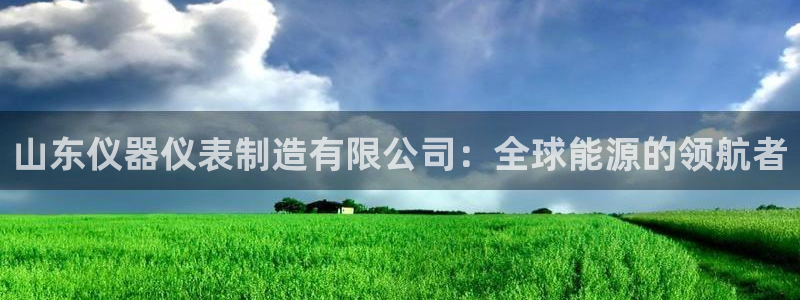 cq9电子满屏马视频：山东仪器仪表制造有限公司：全球能源的领