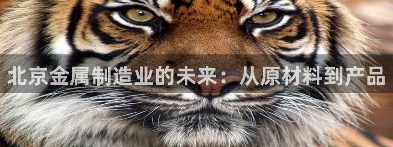 Cq9的电子图：北京金属制造业的未来：从原材料到产品