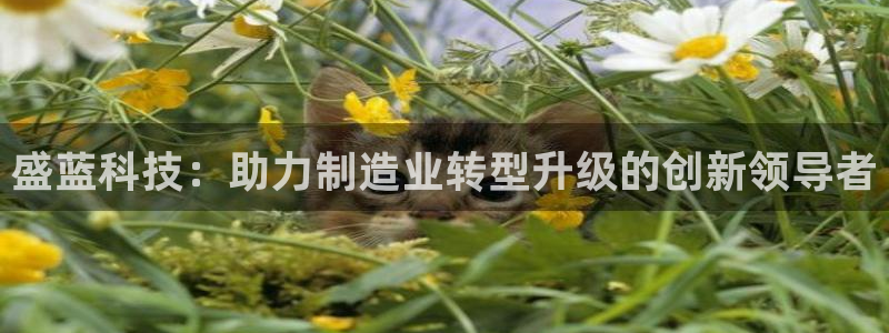 电子舞cq9传奇：盛蓝科技：助力制造业转型升级的创新领导者