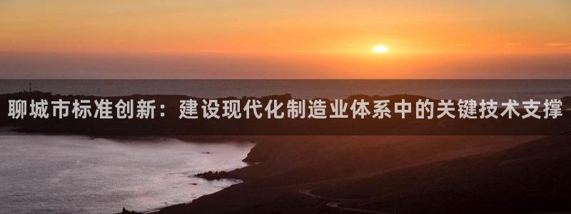 永利cq9电子：聊城市标准创新：建设现代化制造业体系中的关键