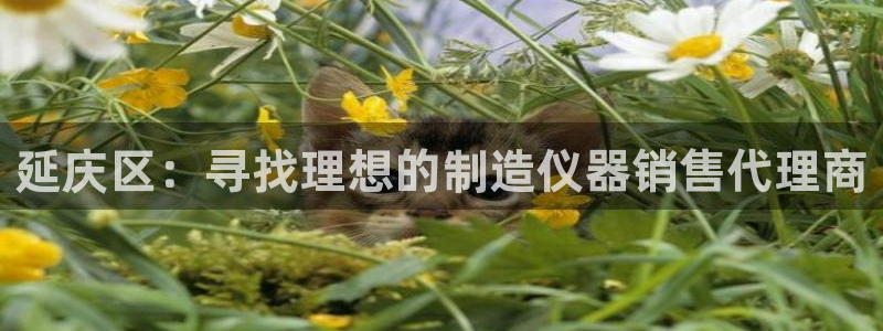 电子cq9狼：延庆区：寻找理想的制造仪器销售代理商
