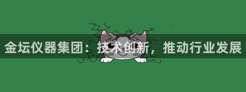 cq9官网电子：金坛仪器集团：技术创新，推动行业发展