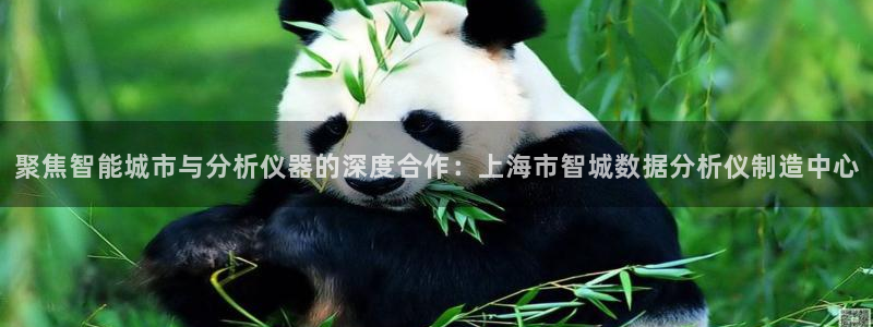 cq9试玩电子：聚焦智能城市与分析仪器的深度合作：上海市智城