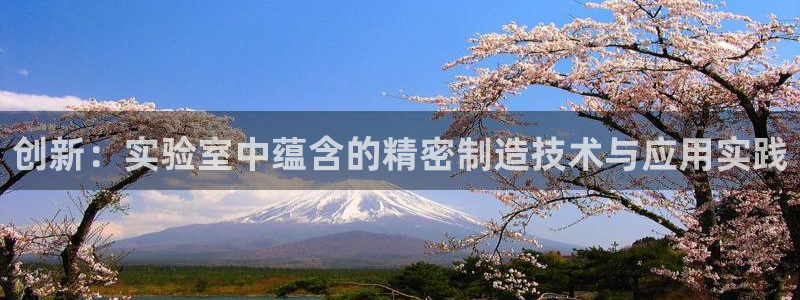 电子传奇cq9爆分：创新：实验室中蕴含的精密制造技术与应用实