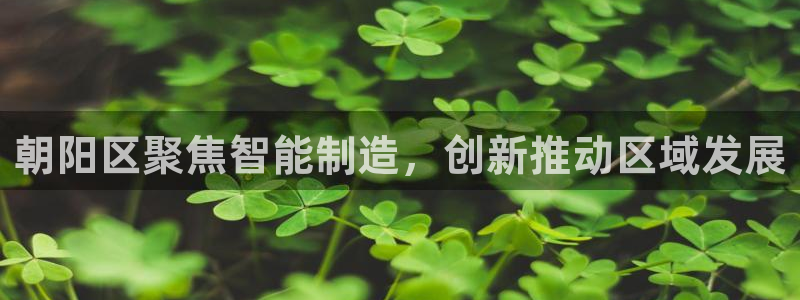 电子火神cq9：朝阳区聚焦智能制造，创新推动区域发展