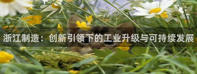 cq9电子在线官网：浙江制造：创新引领下的工业升级与可持续发