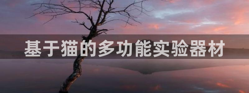 cq9电子游戏宙斯：基于猫的多功能实验器材