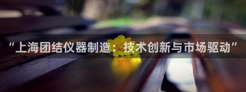 cq9电子娱乐大全：“上海团结仪器制造：技术创新与市场驱动”