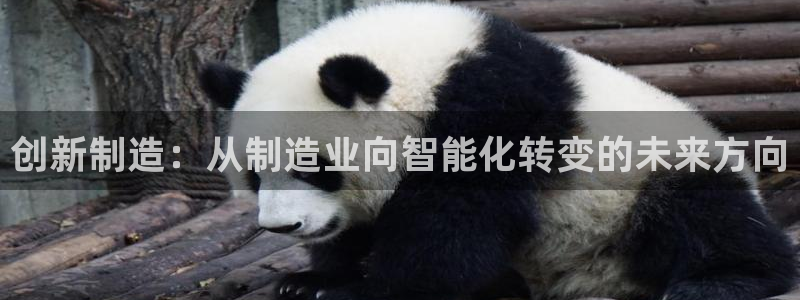 cq9电子体验：创新制造：从制造业向智能化转变的未来方向