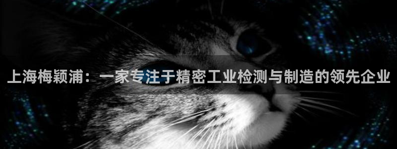 cq9电子跳高高2技巧：上海梅颖浦：一家专注于精密工业检测与