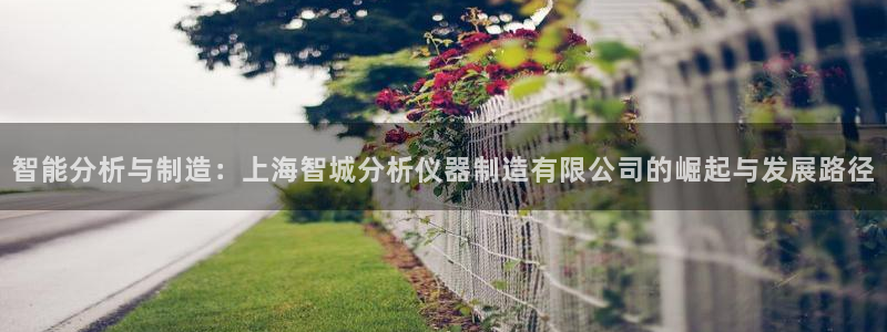 cq9电子体验爆奖：智能分析与制造：上海智城分析仪器制造有限