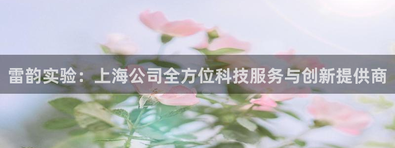 cq9电子游戏蹦迪：雷韵实验：上海公司全方位科技服务与创新提
