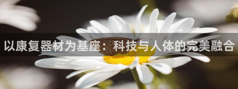 cq9电子辅助功能：以康复器材为基座：科技与人体的完美融合