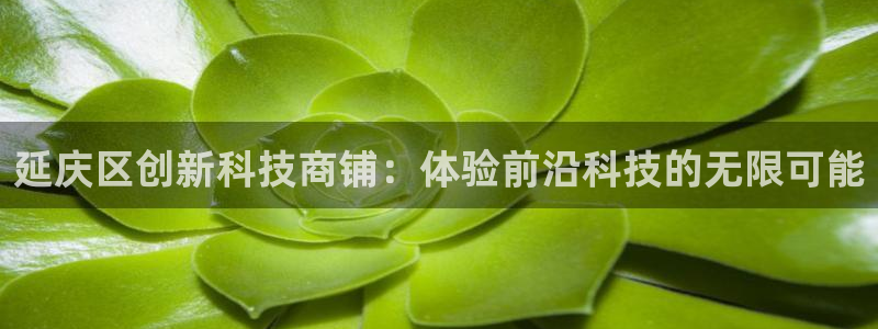 正规cq9电子：延庆区创新科技商铺：体验前沿科技的无限可能