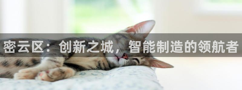 试玩电子cq9：密云区：创新之城，智能制造的领航者