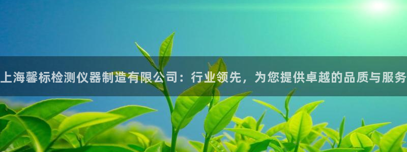 cq9电子财神：上海馨标检测仪器制造有限公司：行业领先，为您