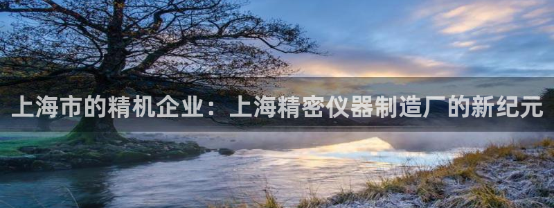 PG电子CQ9传奇：上海市的精机企业：上海精密仪器制造厂的新