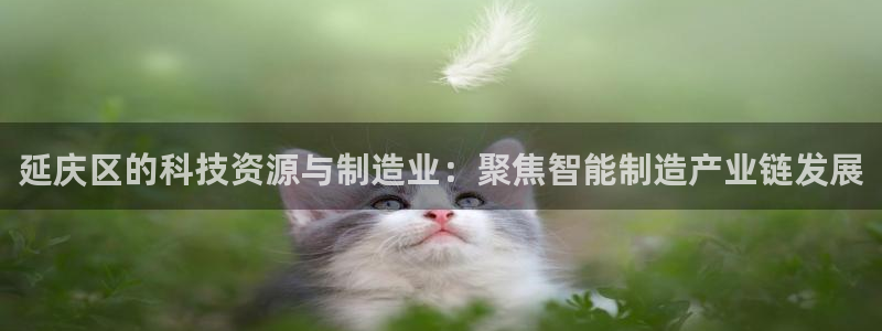 cq9电子娱乐：延庆区的科技资源与制造业：聚焦智能制造产业链