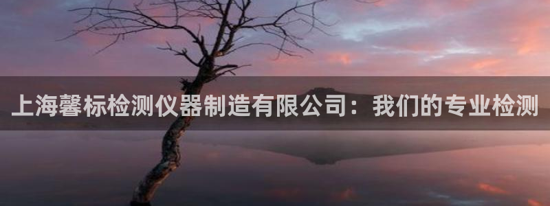cq9新电子传奇：上海馨标检测仪器制造有限公司：我们的专业检