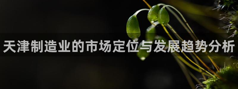 cq9电子火神视频：天津制造业的市场定位与发展趋势分析