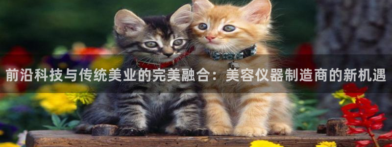 cq9电子跳起来：前沿科技与传统美业的完美融合：美容仪器制造