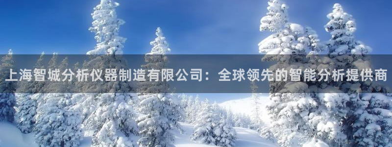 cq9电子跳高高网址：上海智城分析仪器制造有限公司：全球领先