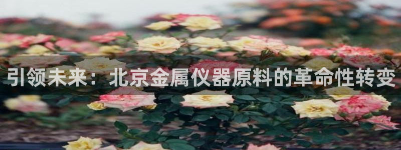 cq9传奇电子平台：引领未来：北京金属仪器原料的革命性转变