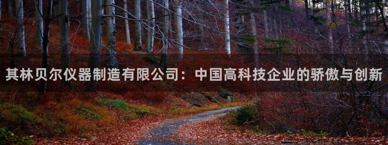 cq9电子夺宝：其林贝尔仪器制造有限公司：中国高科技企业的骄