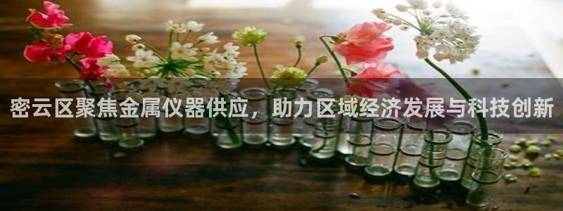 cq9电子金鸡报喜：密云区聚焦金属仪器供应，助力区域经济发展