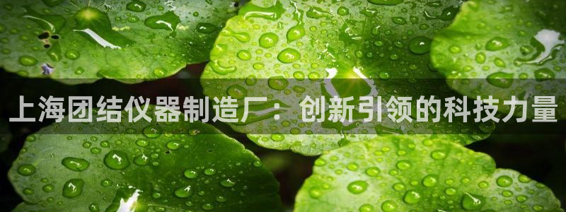 cq9传奇电子水世界：上海团结仪器制造厂：创新引领的科技力量