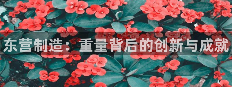 CQ9电子注单号：东营制造：重量背后的创新与成就