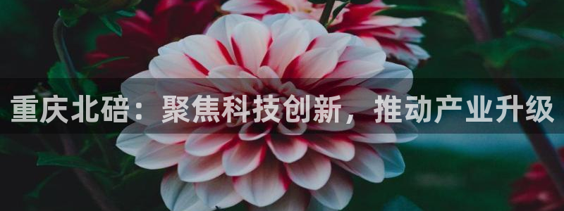 cq9电子爆分视频：重庆北碚：聚焦科技创新，推动产业升级