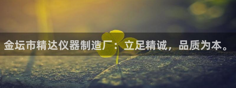 电子游戏cq9传奇电子：金坛市精达仪器制造厂：立足精诚，品质