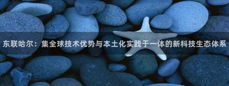 cq9电子爆分规律：东联哈尔：集全球技术优势与本土化实践于一
