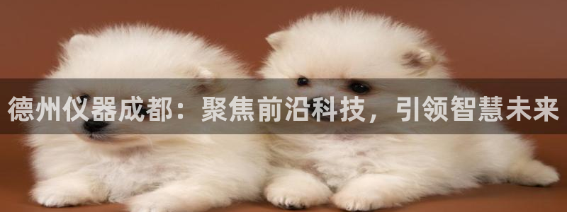 cq9电子吧：德州仪器成都：聚焦前沿科技，引领智慧未来