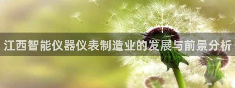cq9电子 接口：江西智能仪器仪表制造业的发展与前景分析