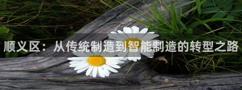 cq9电子蹦迪：顺义区：从传统制造到智能制造的转型之路